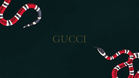 snake in gucci.